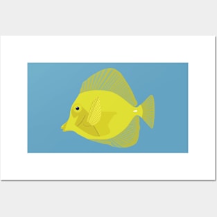 Yellow tang fish illustration Posters and Art